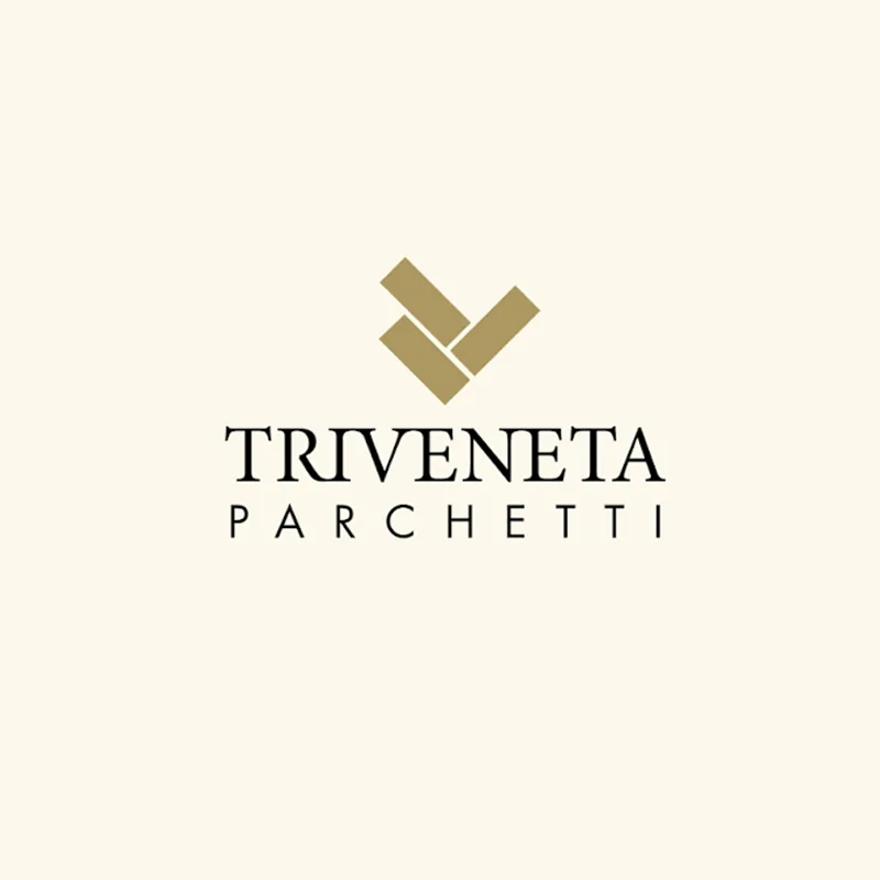 Logo Triveneta, marchio trattato da DSC House Solutions
